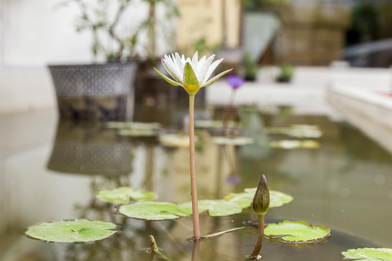 Central Boutique Hotel Vientiane Bagian luar foto